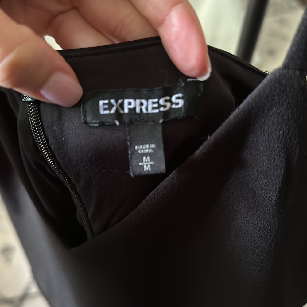 Express Dress - Picture 2 of 5